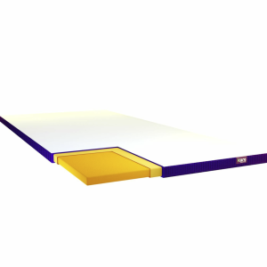 ActiveXâ„¢ Overlay