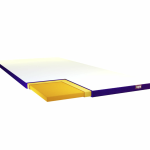 ActiveXâ„¢ Overlay